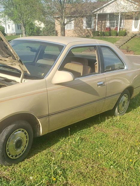 drivers side of the 1984 Ford Tempo GL